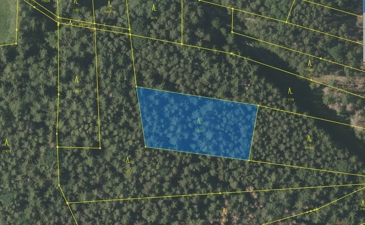 Lesní pozemek o výměře 2 984 m2, podíl 1/1, k.ú. Němčice u Kdyně, okres Domažlice