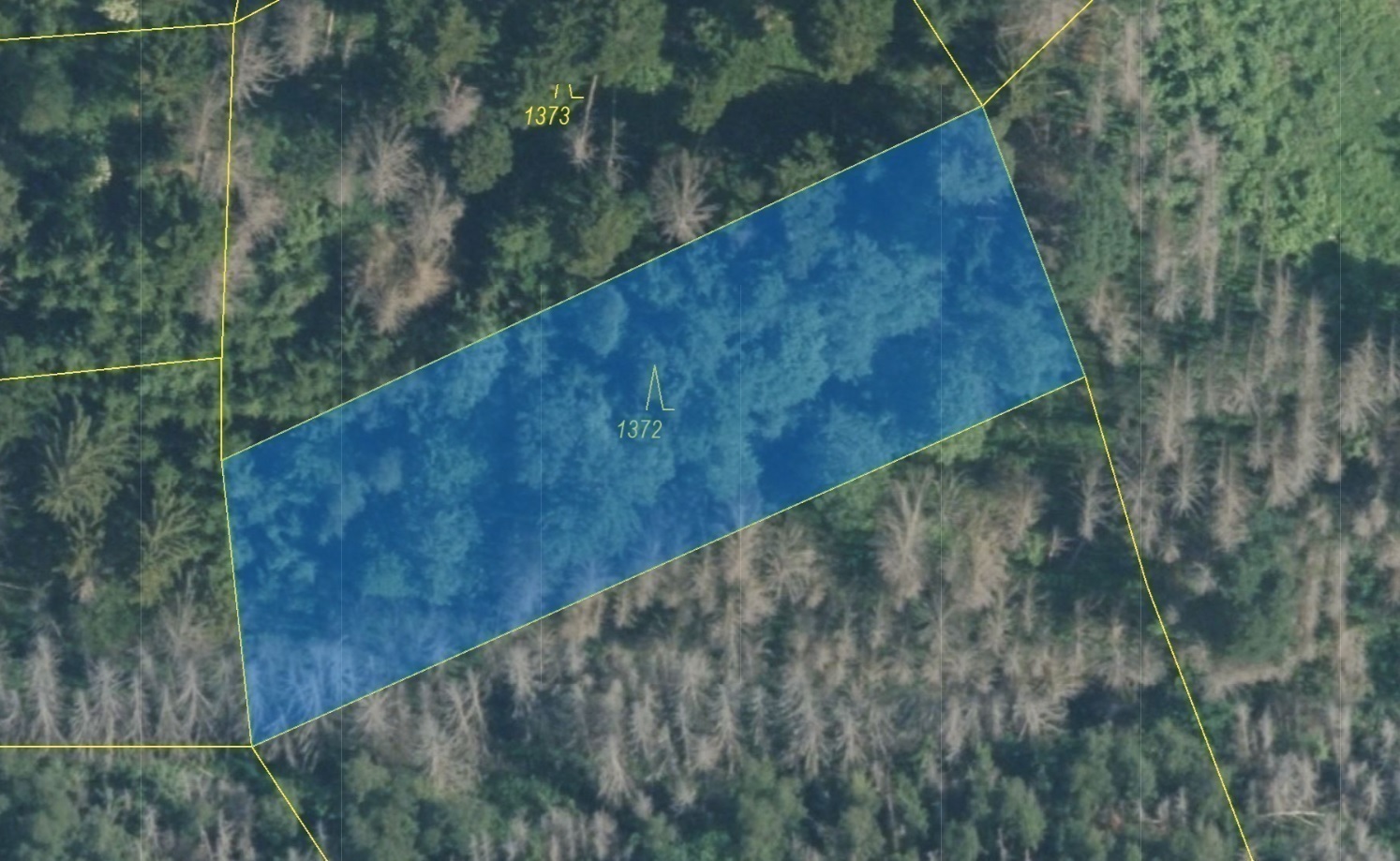 Lesní pozemek o výměře 1 977 m2, podíl 1/1, k.ú. Drásov, okres Brno-venkov