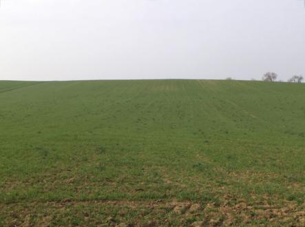 Prodej - pozemek, zemědělská půda, 4 751 m²