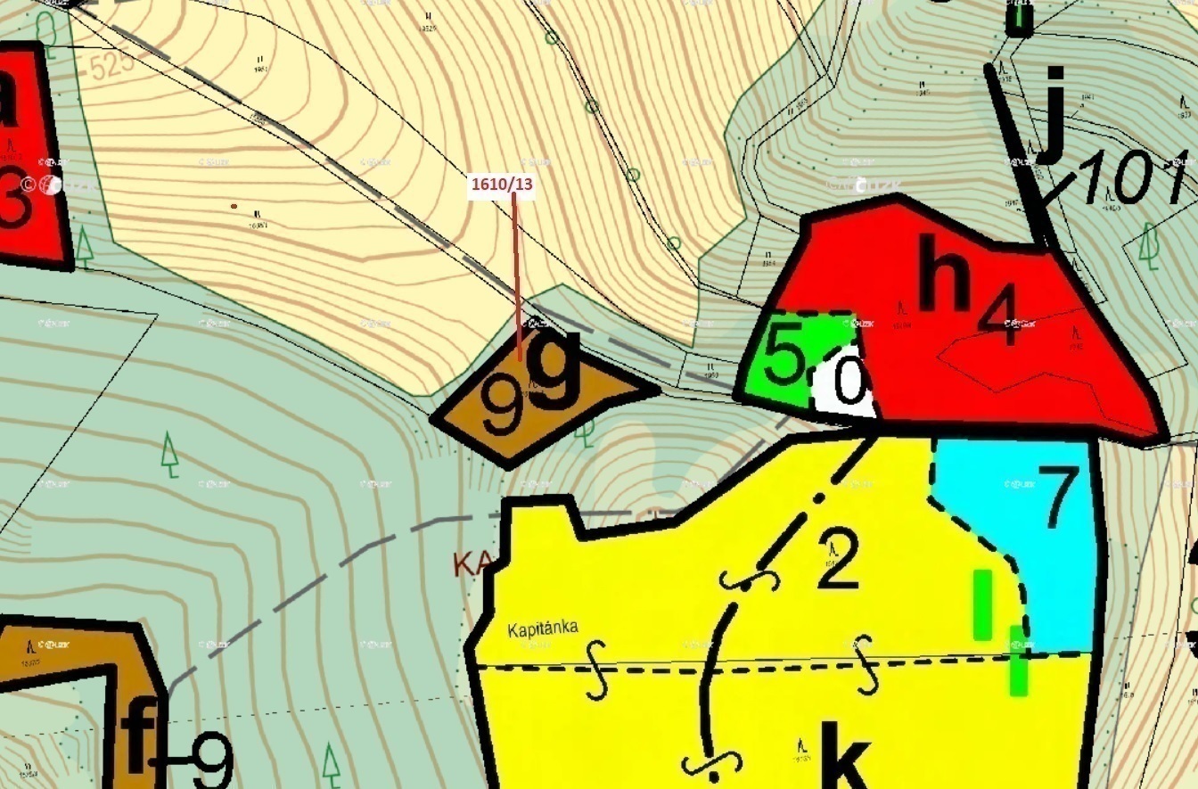 Lesní pozemek o výměře 1 461 m2, podíl 1/1, k.ú. Hovězí, okres Vsetín