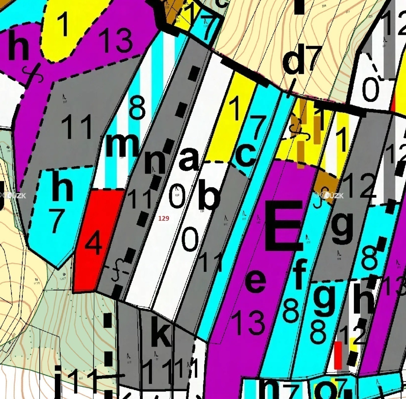 Lesní pozemek o výměře 4 650 m2, podíl 1/1, k.ú. Bojanovice pod Rabím, okres Klatovy