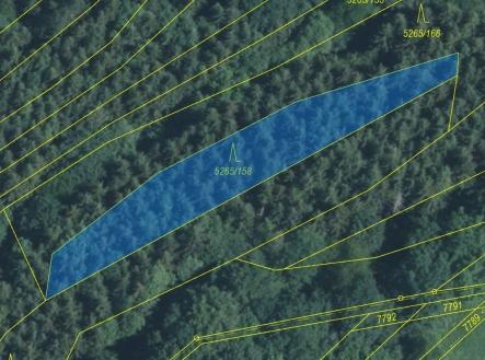 Prodej - pozemek, les, 1 065 m²