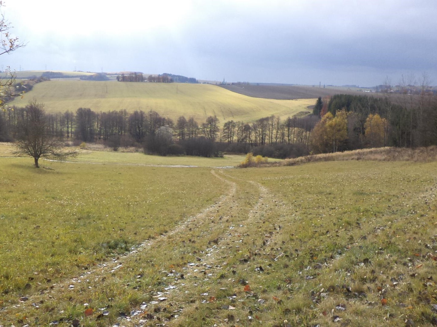 Pozemek o velikosti 65818m2, Rýmařov