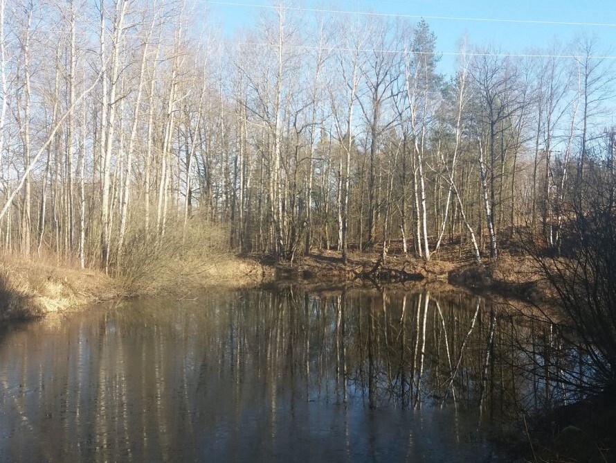 Pozemky o velikosti 10115m2, Nová Ves nad Lužnicí