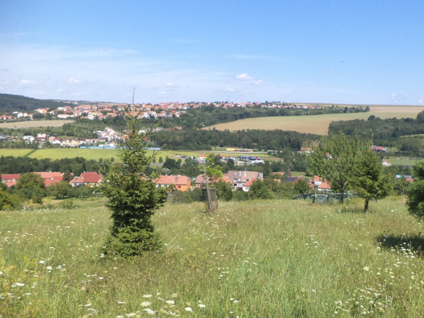 Pozemky o velikosti 2374m2, Podolí nad Olšavou