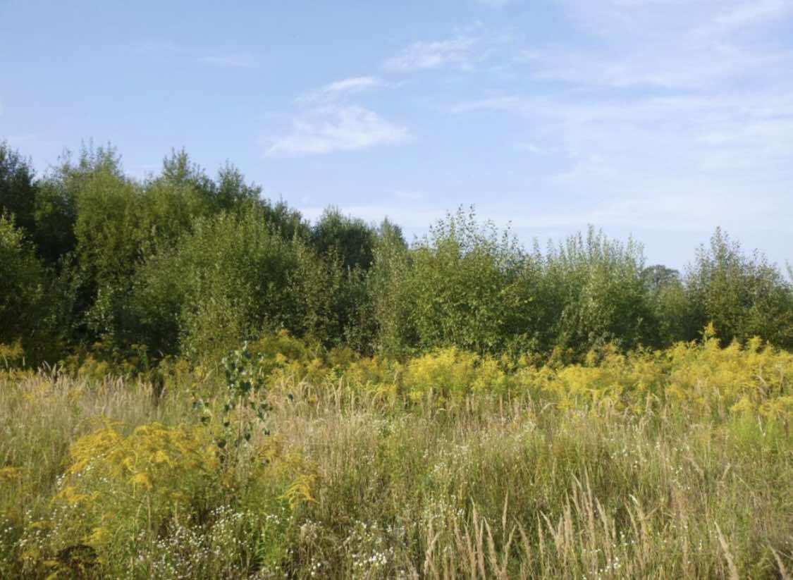 Pozemky o velikosti 1604m2, Řehenice okr. Benešov