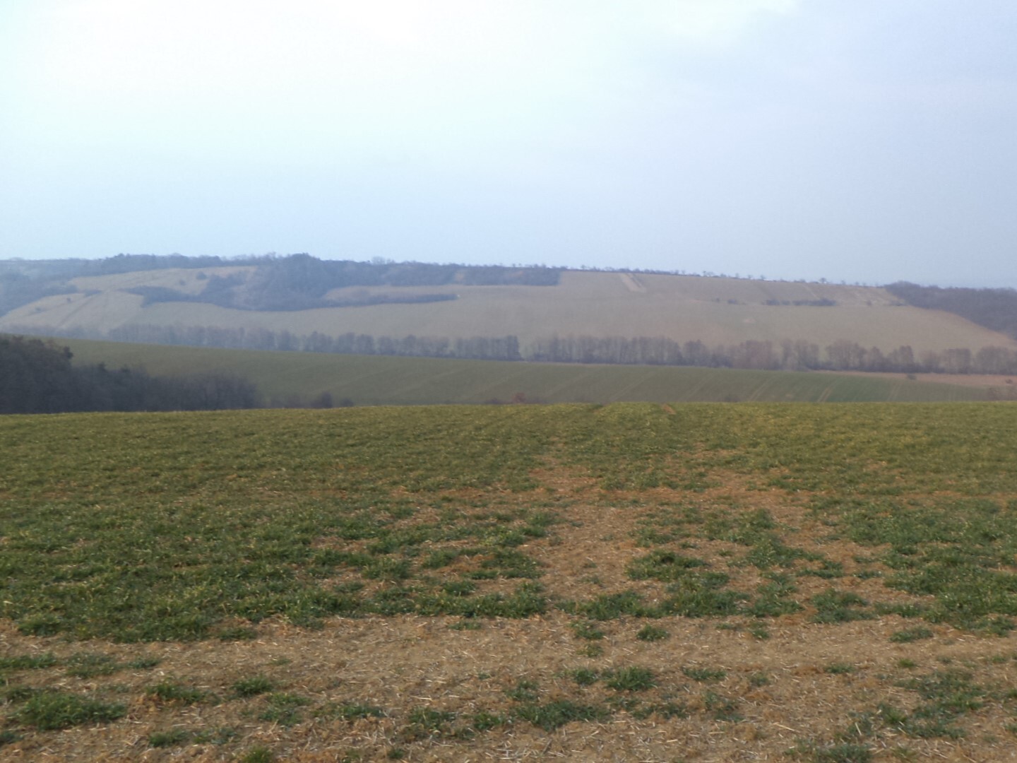 Pozemky  o velikosti 6891m2, Uherské Hradiště, podíl 1/2