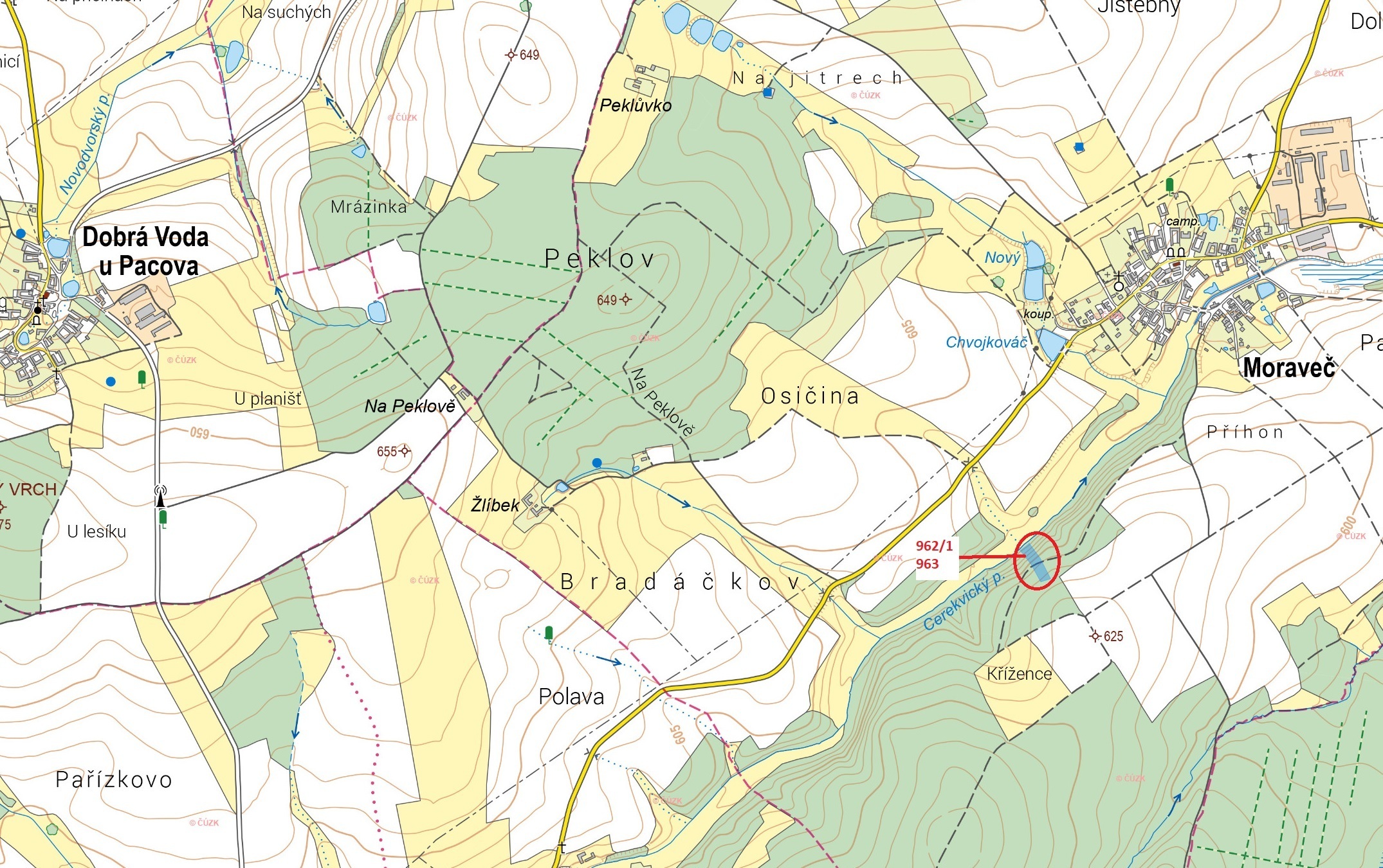 Lesní pozemky o výměře 4260 m2, podíl 1/1, k.ú. Moraveč, okres Pelhřimov