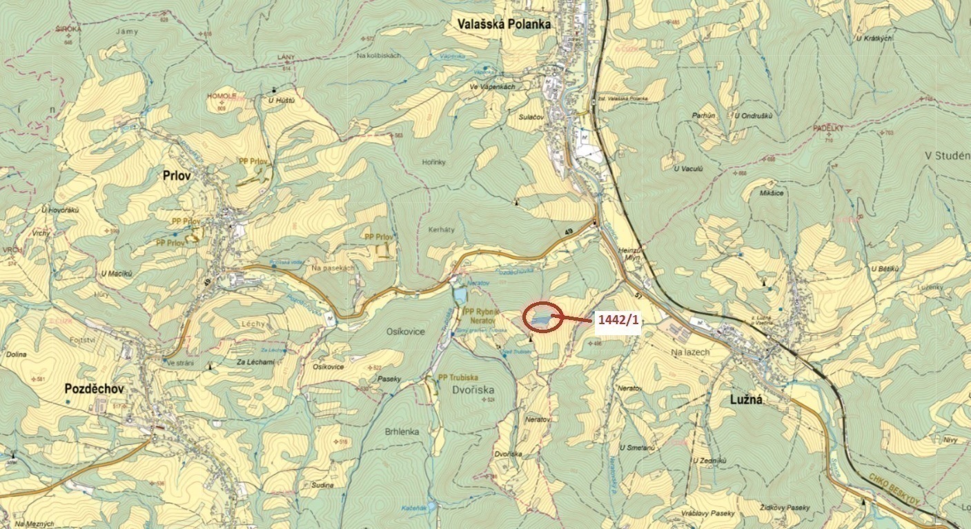 Trvalý travní porost o výměře 6 002 m2, podíl 1/1, k.ú. Valašská Polanka, okres Vsetín