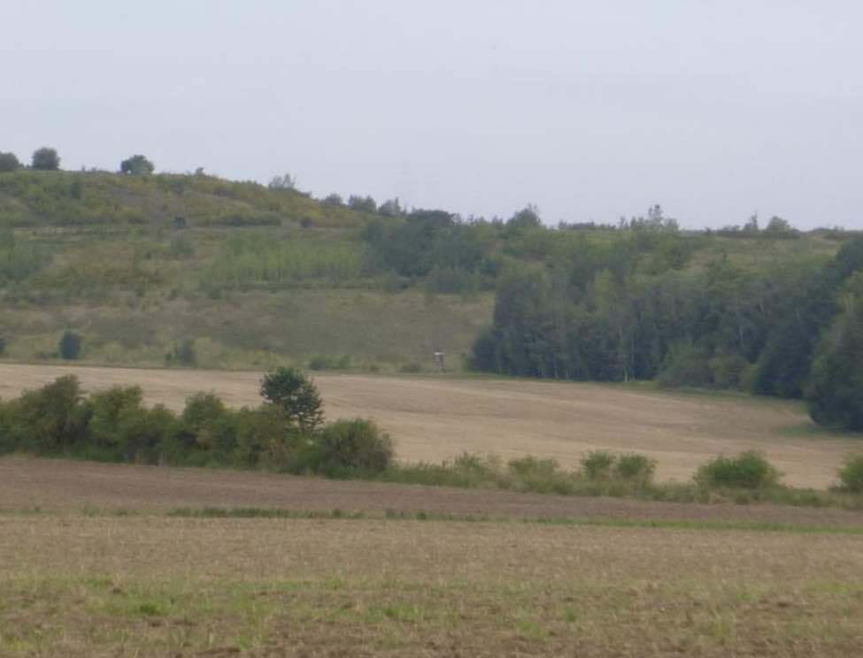 Pozemek o velikosti 4181m2, Kamenné Žehrovice , podíl 1/2