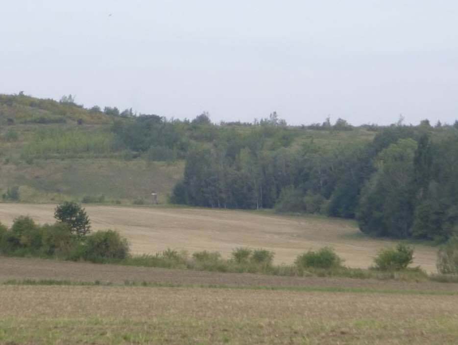 Pozemek o velikosti 4181m2, Kamenné Žehrovice , podíl 1/2