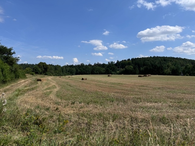 Dražba pozemků v obci Drahonice, okr. Strakonice