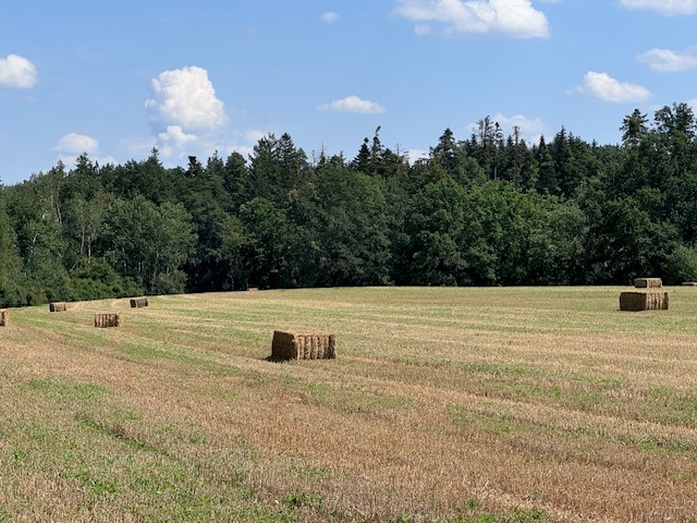 Dražba pozemků v obci Drahonice, okr. Strakonice