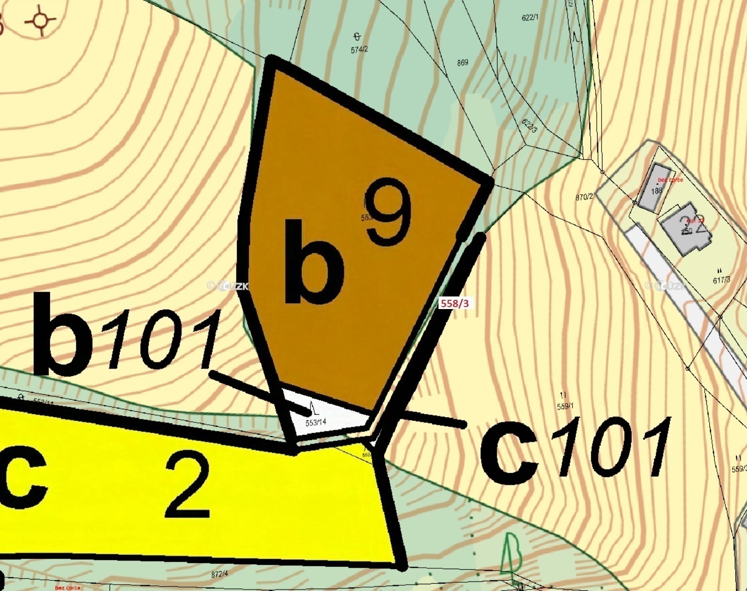 Lesní pozemek o výměře 101 m2, podíl 1/1, k.ú. Arnultovice, okres Trutnov