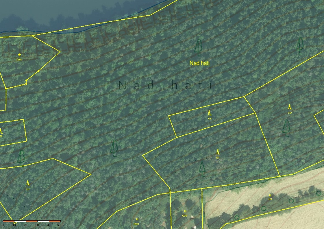 1/3 podíl na pozemcích LV 291 v obci Liblín, okres Rokycany