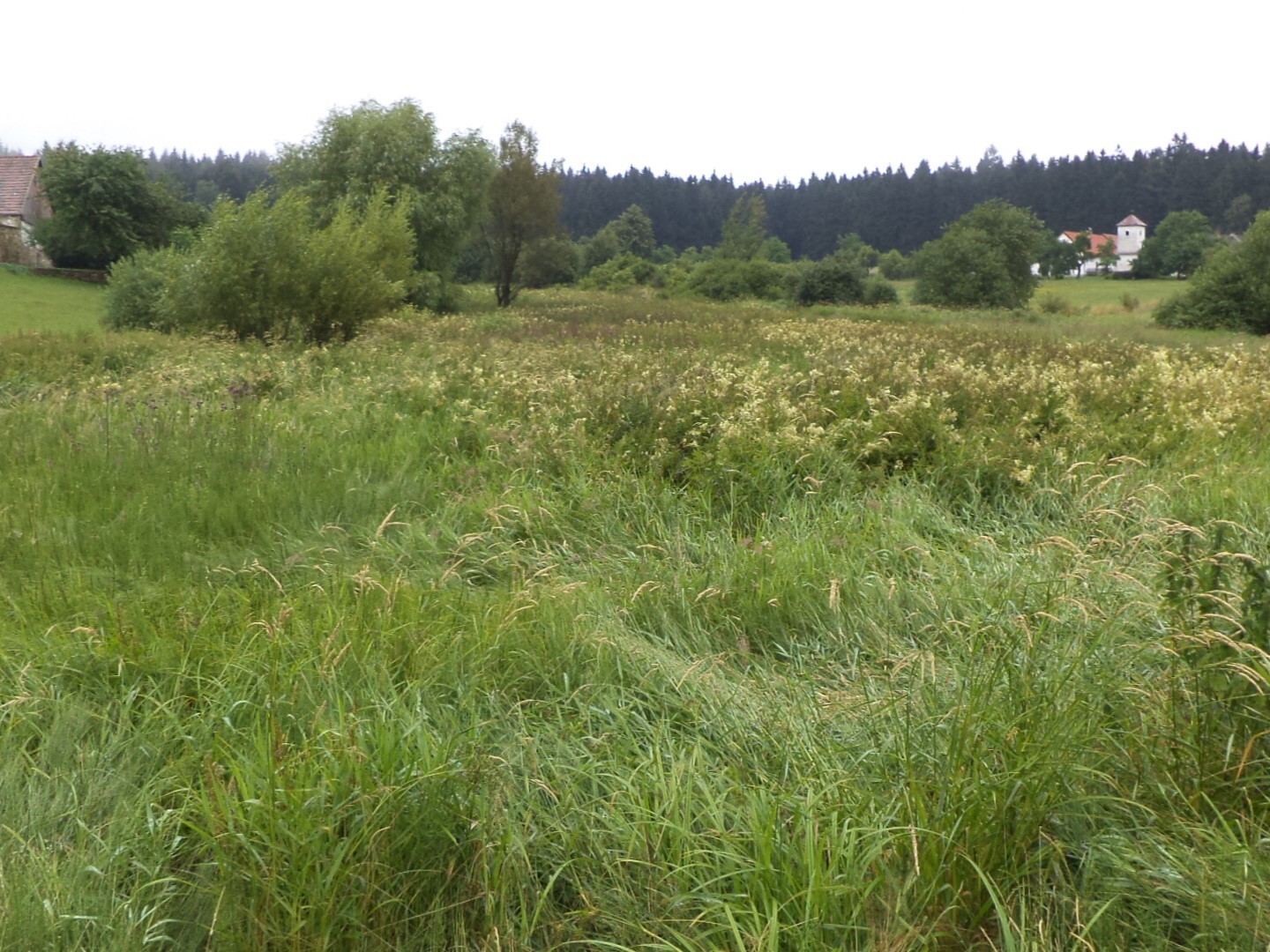 Pozemky o velikosti 2148m2, Starý Bozděchov