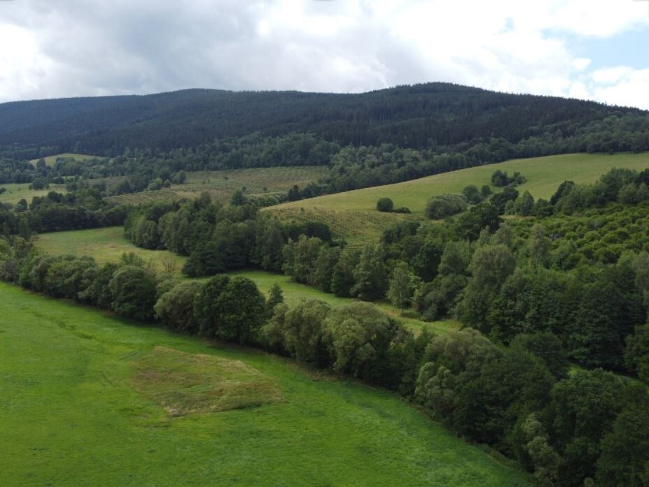 Pozemek o velikosti 67850m2, Oldřichovice u Děpoltic