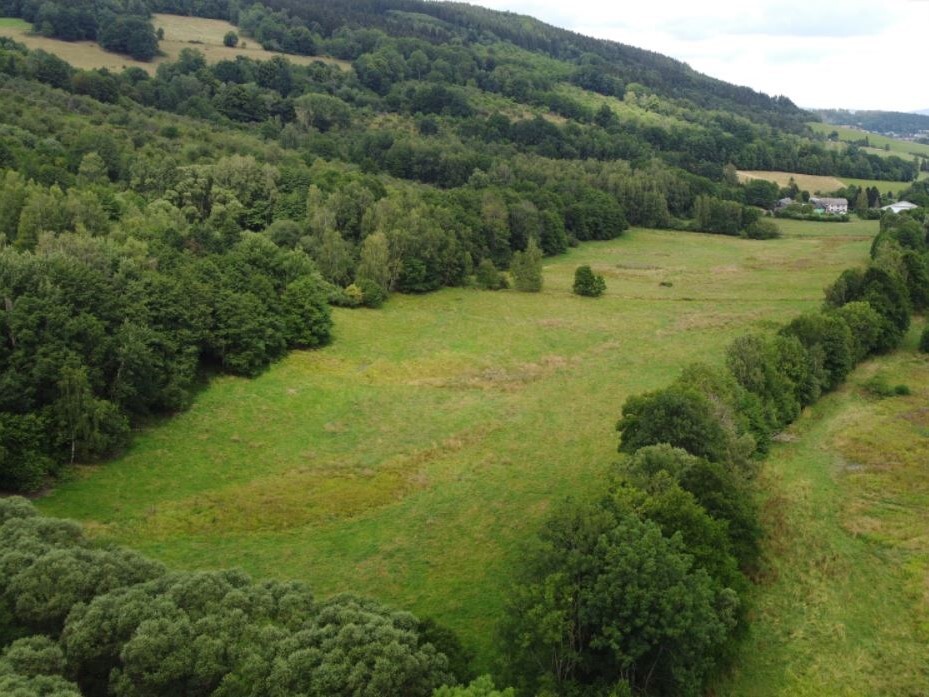 Pozemek o velikosti 67850m2, Oldřichovice u Děpoltic