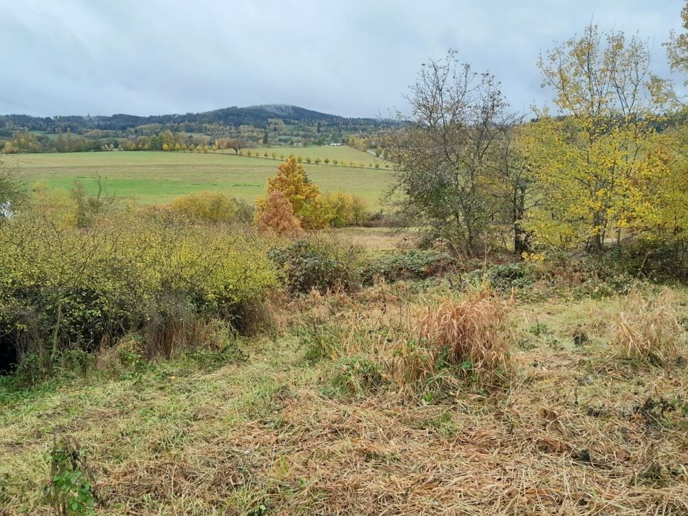 Pozemek o velikosti 4183m2, Bušanovice