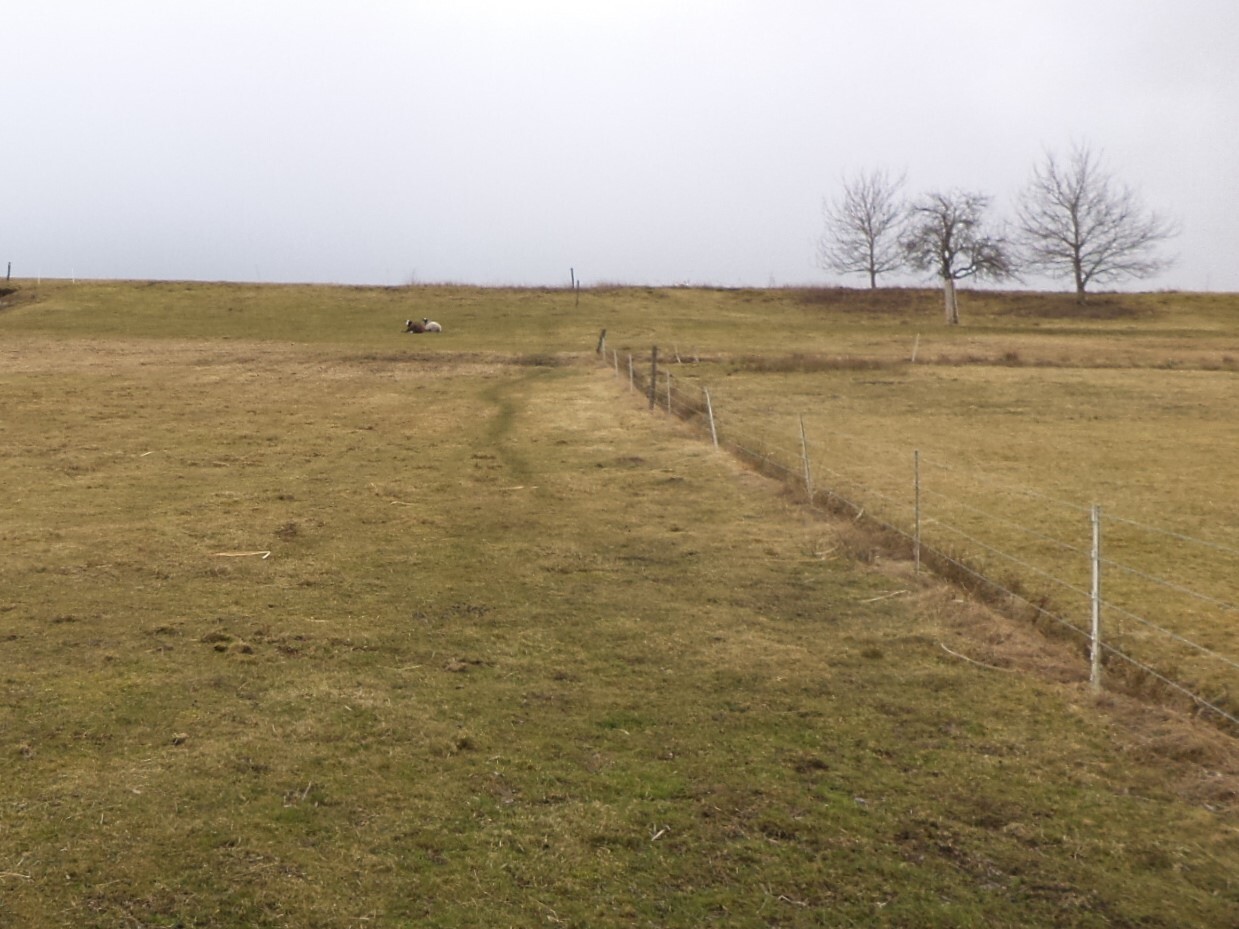 Stavební pozemek o velikosti 2346m2, Nesměň u Ločenic