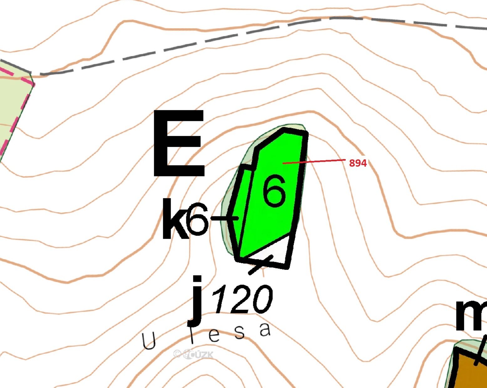 Lesní pozemek o výměře 2237 m2, podíl 1/1, k.ú. Pyšel, okres Třebíč