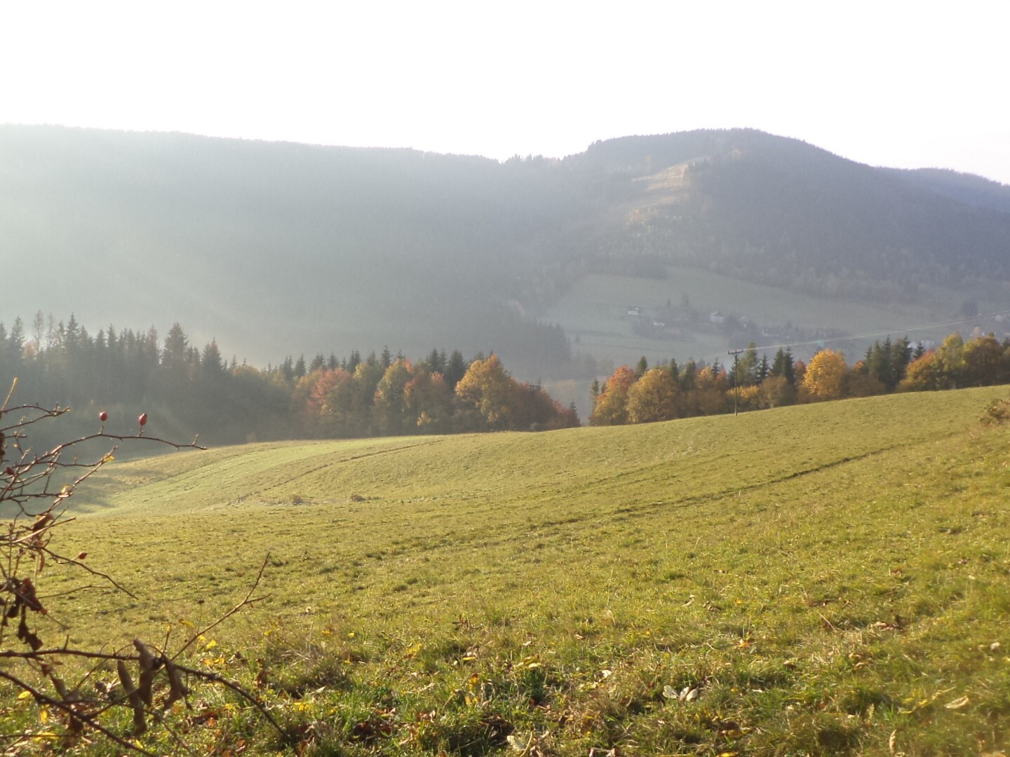 Pozemky o velikosti 9791m2, Dolní Lomná