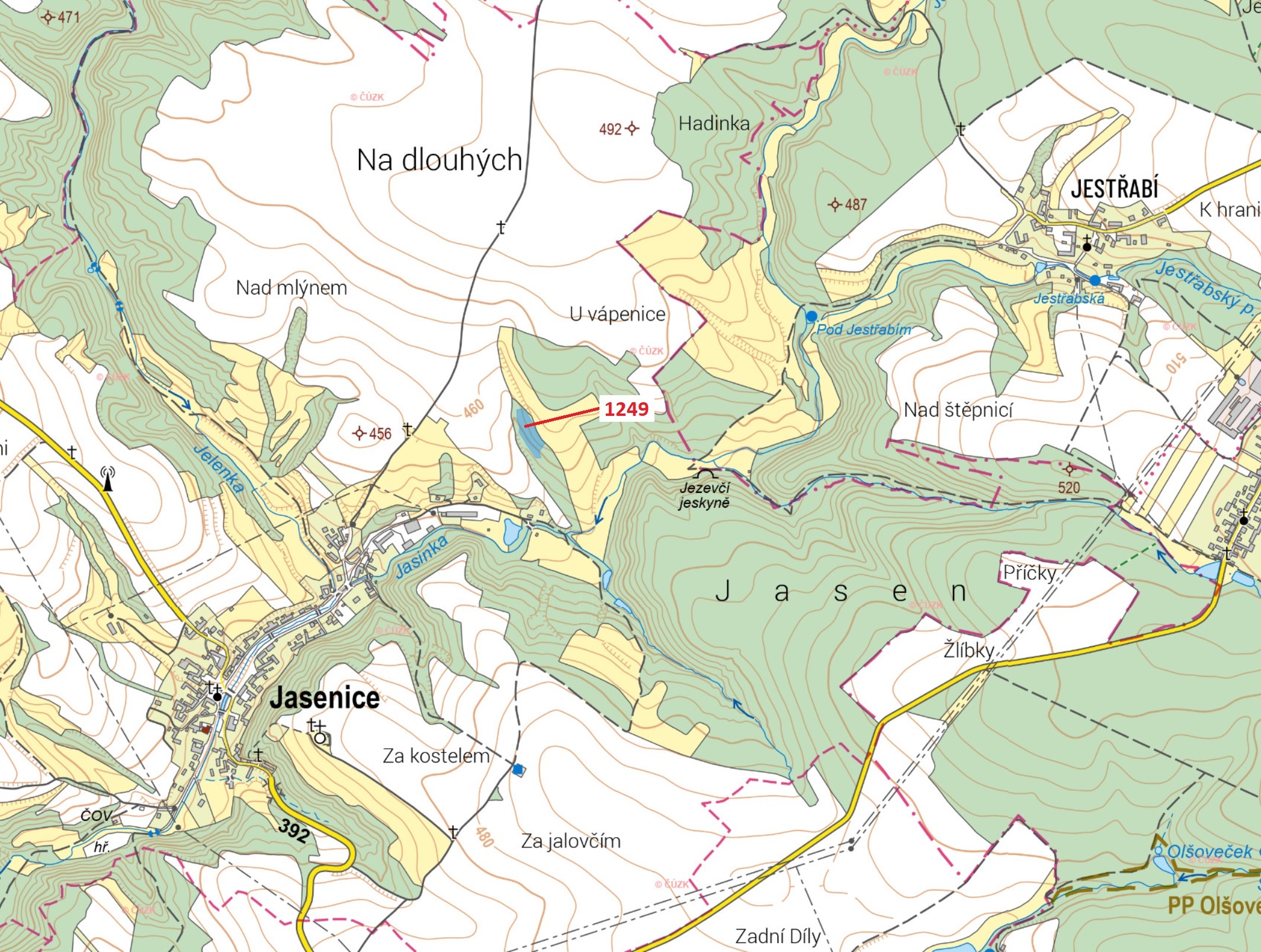 Lesní pozemek o výměře 4733 m2, podíl 1/1, k.ú. Jasenice, okres Třebíč