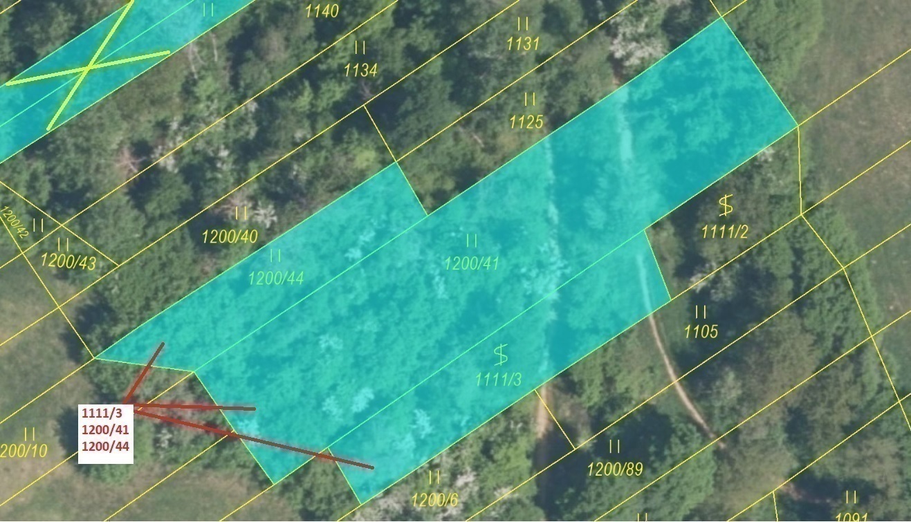 Trvalý travní porost, vinice o výměře 1 950 m2, podíl 1/1, k.ú. Traplice, okres Uherské Hradiště