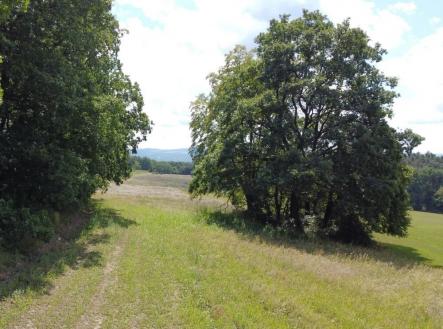 Prodej - pozemek, zemědělská půda, 26 333 m²