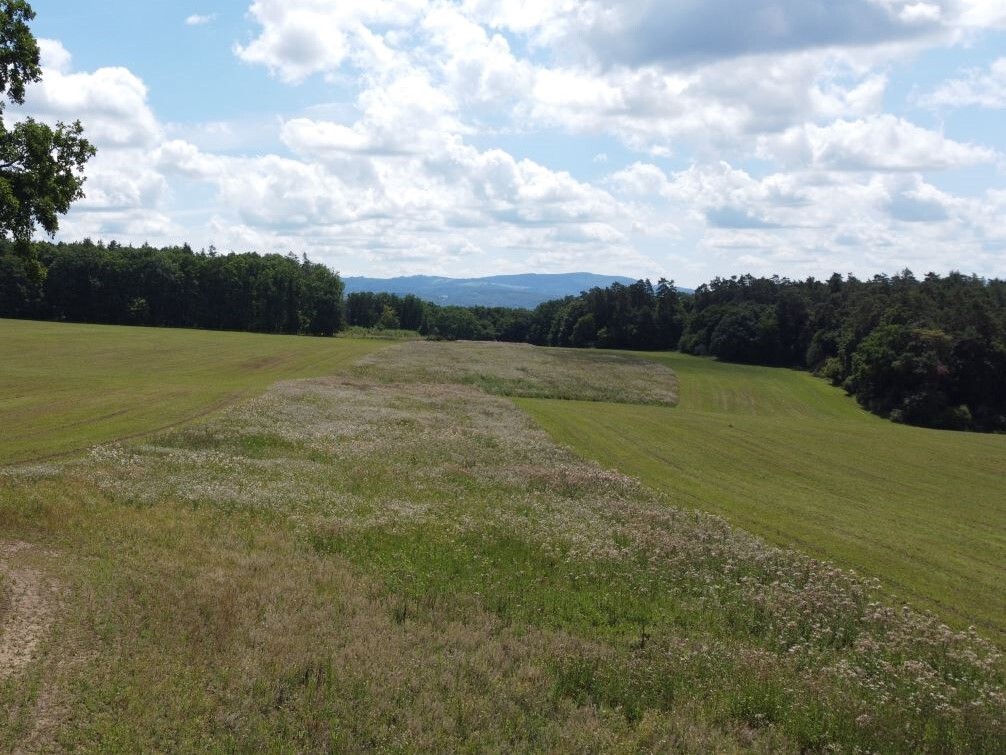 Pozemky o velikosti 26333m2, Luhačovice+ Újezdec u Luhačovic