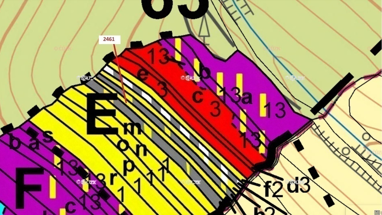 Lesní pozemek o výměře 888 m2, podíl 1/1, k.ú. Vrbětice, okres Zlín