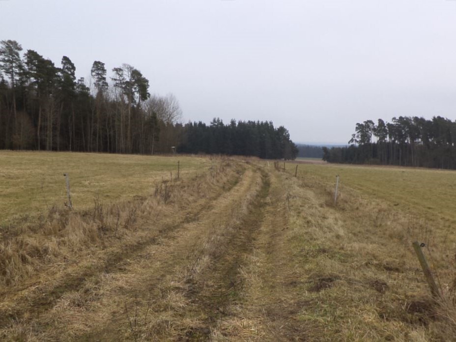 Pozemek o velikosti 3739m2, Lom u Tachova