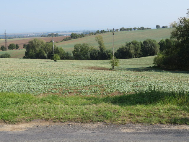 Pozemek o velikosti 323m2, Pavlovice u Kojetína, podíl 1/2