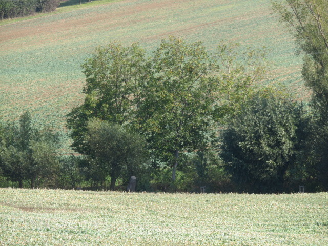 Pozemek o velikosti 323m2, Pavlovice u Kojetína, podíl 1/2