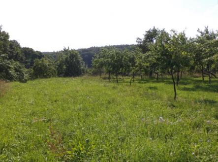 Prodej - pozemek, zemědělská půda, 1 688 m²