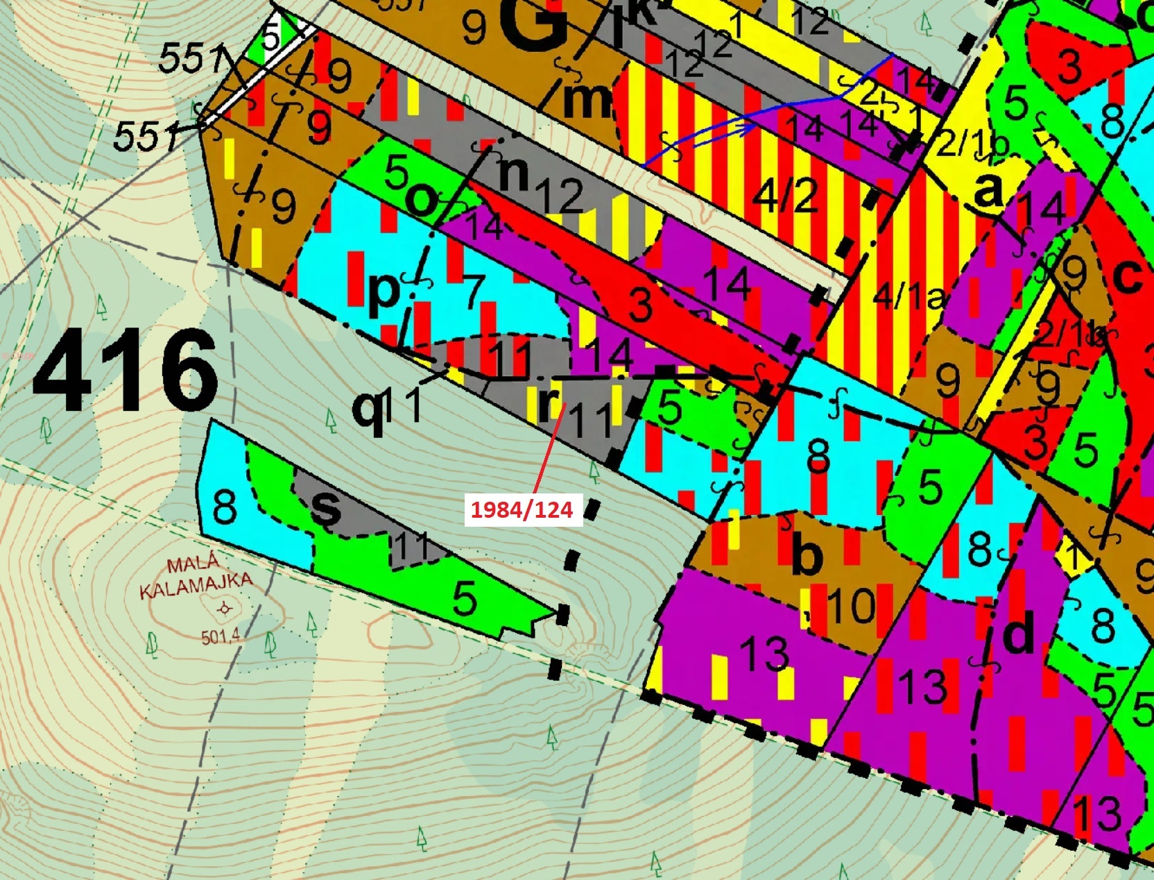 Lesní pozemek o výměře 2654 m2, podíl 1/1, k.ú. Domašín, okres Benešov