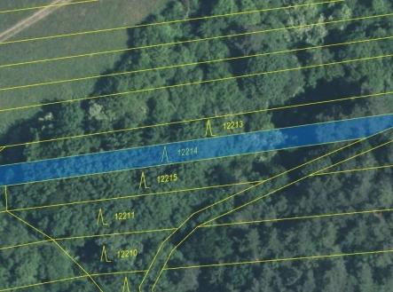 Prodej - pozemek, les, 597 m²