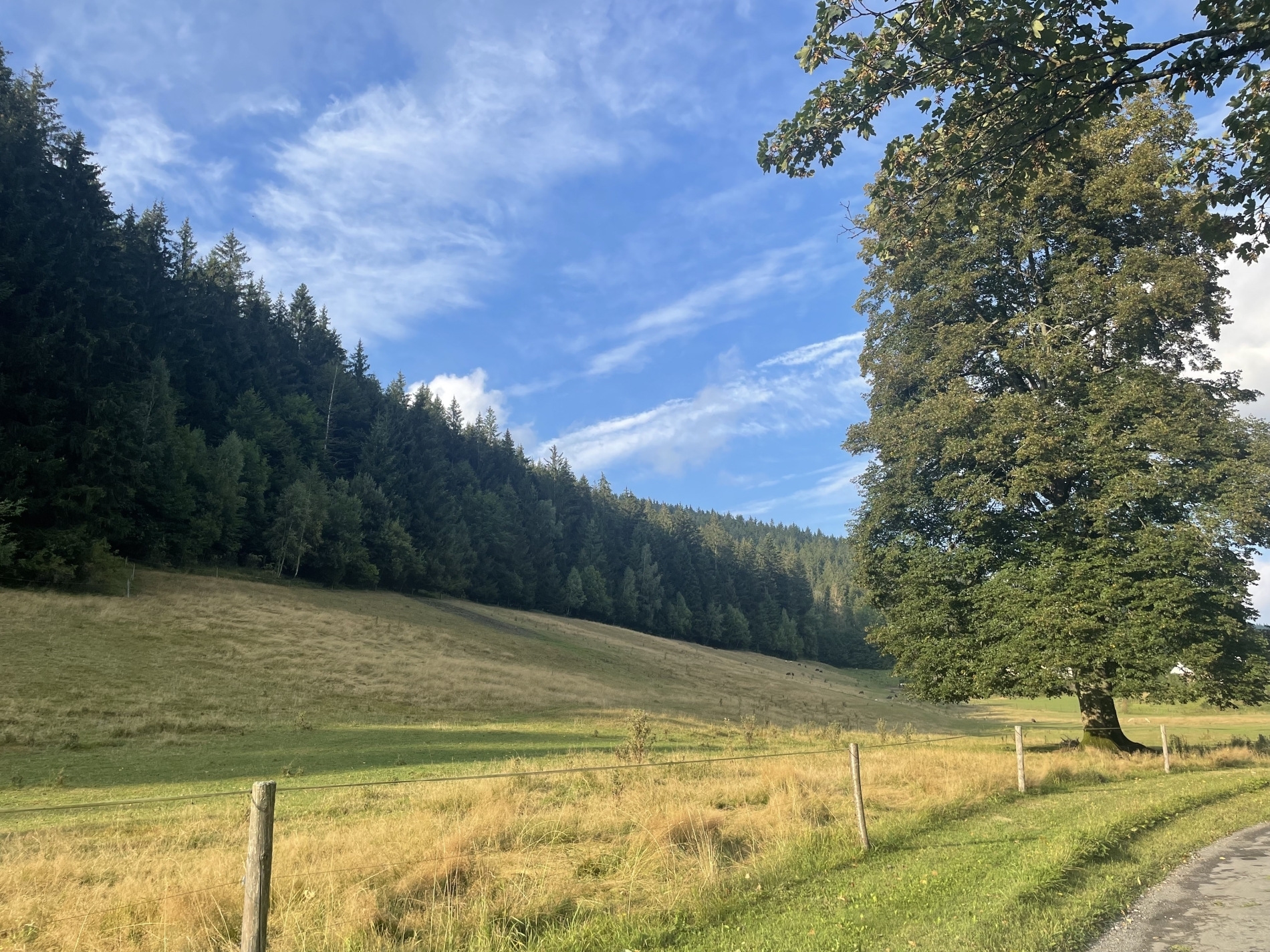 Pozemek o velikosti 10518m2, Velké Karlovice