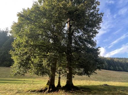 Prodej - pozemek, trvalý travní porost, 10 518 m²