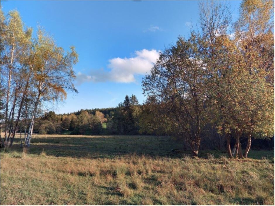 Pozemky o velikosti 87889m2, Mnichovice u Loučovic