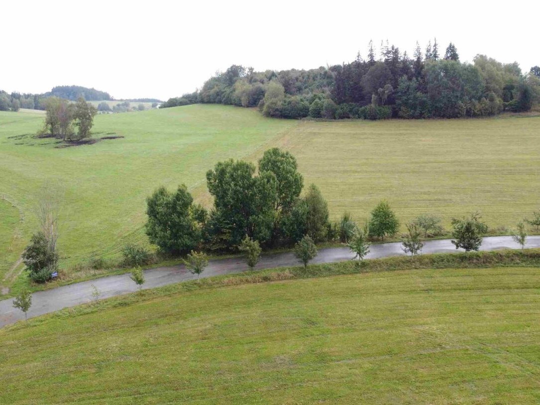 Stavební pozemek o velikosti 4978m2, Černá v Pošumaví