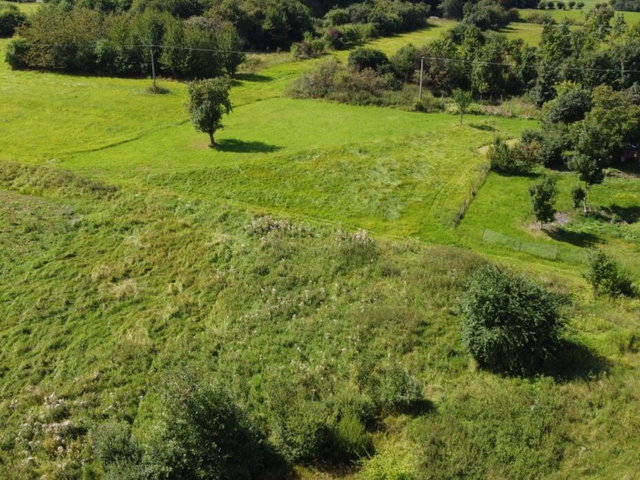 Pozemek o velikosti 4670m2,Veselov