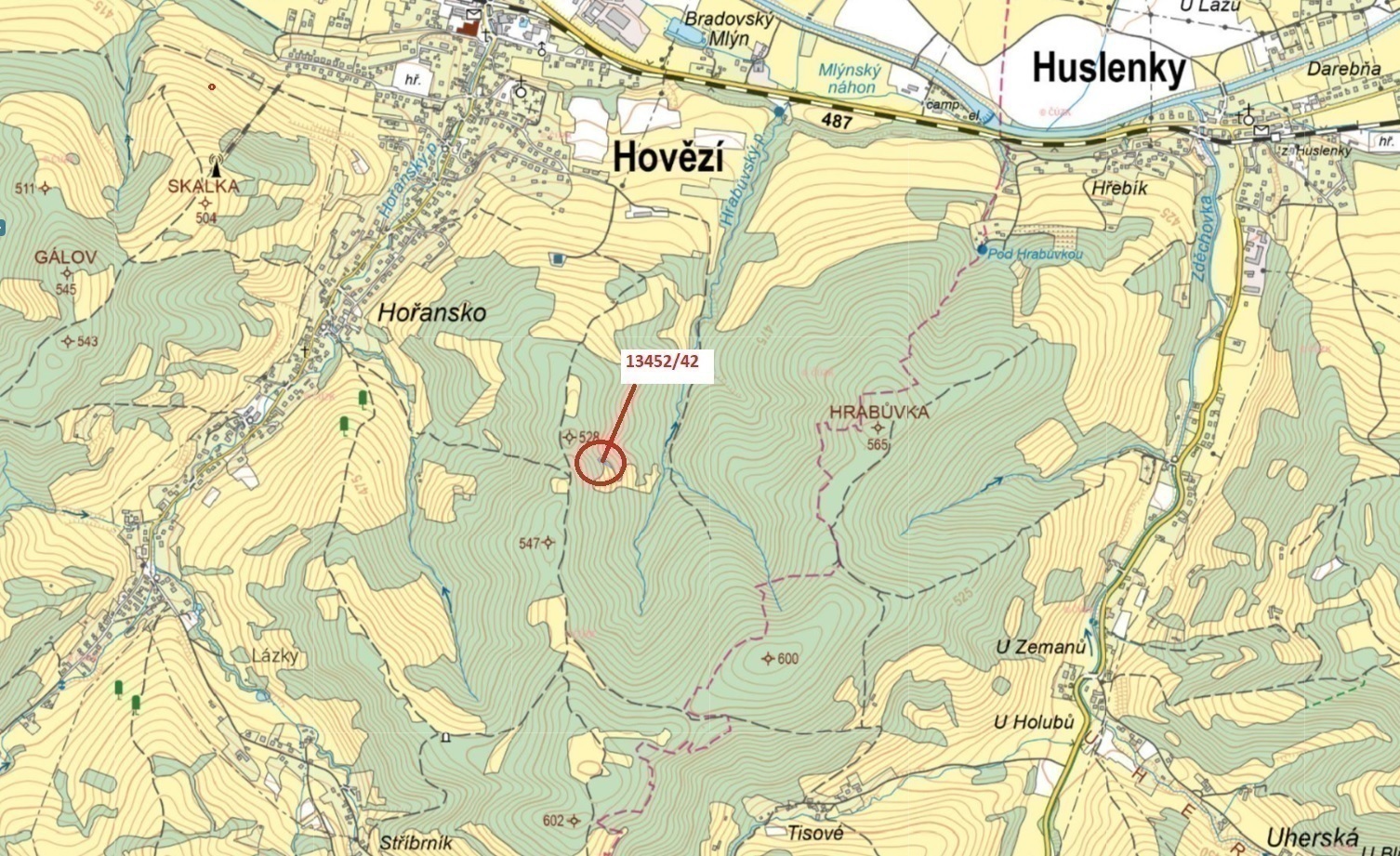 Lesní pozemek o výměře 335 m2, podíl 1/1, k.ú. Hovězí, okres Vsetín