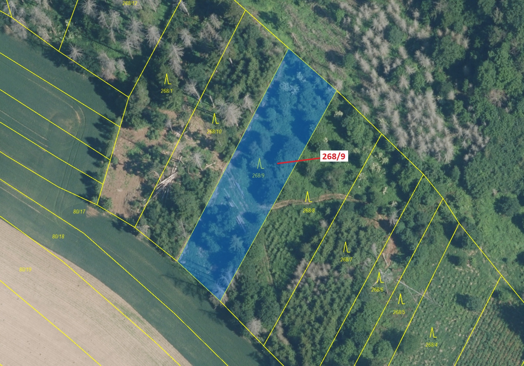 Lesní pozemek o výměře 2320 m2, podíl 1/1, k.ú. Lesní Hluboké, okres Brno-venkov