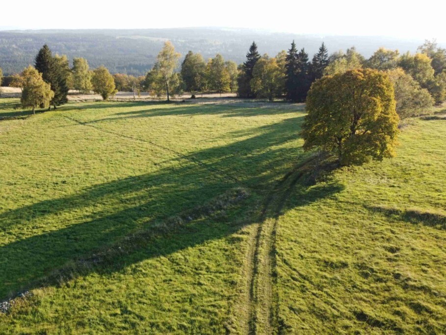 Pozemek o velikosti 5003m2, Milíře u Šindelové