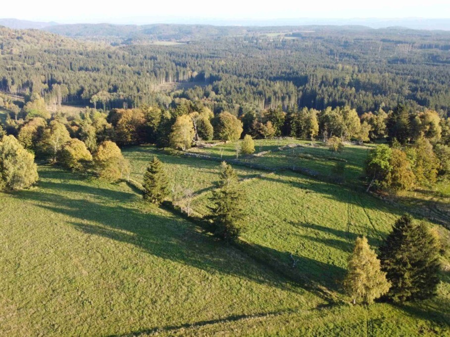 Pozemek o velikosti 5003m2, Milíře u Šindelové