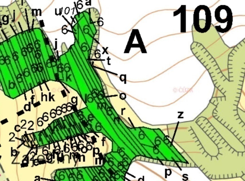 Lesní pozemky o výměře 2 771 m2, podíl 1/1 , k.ú. Jalubí, okres Uherské Hradiště