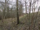 Prodej - pozemek, trvalý travní porost, 1 150 m²