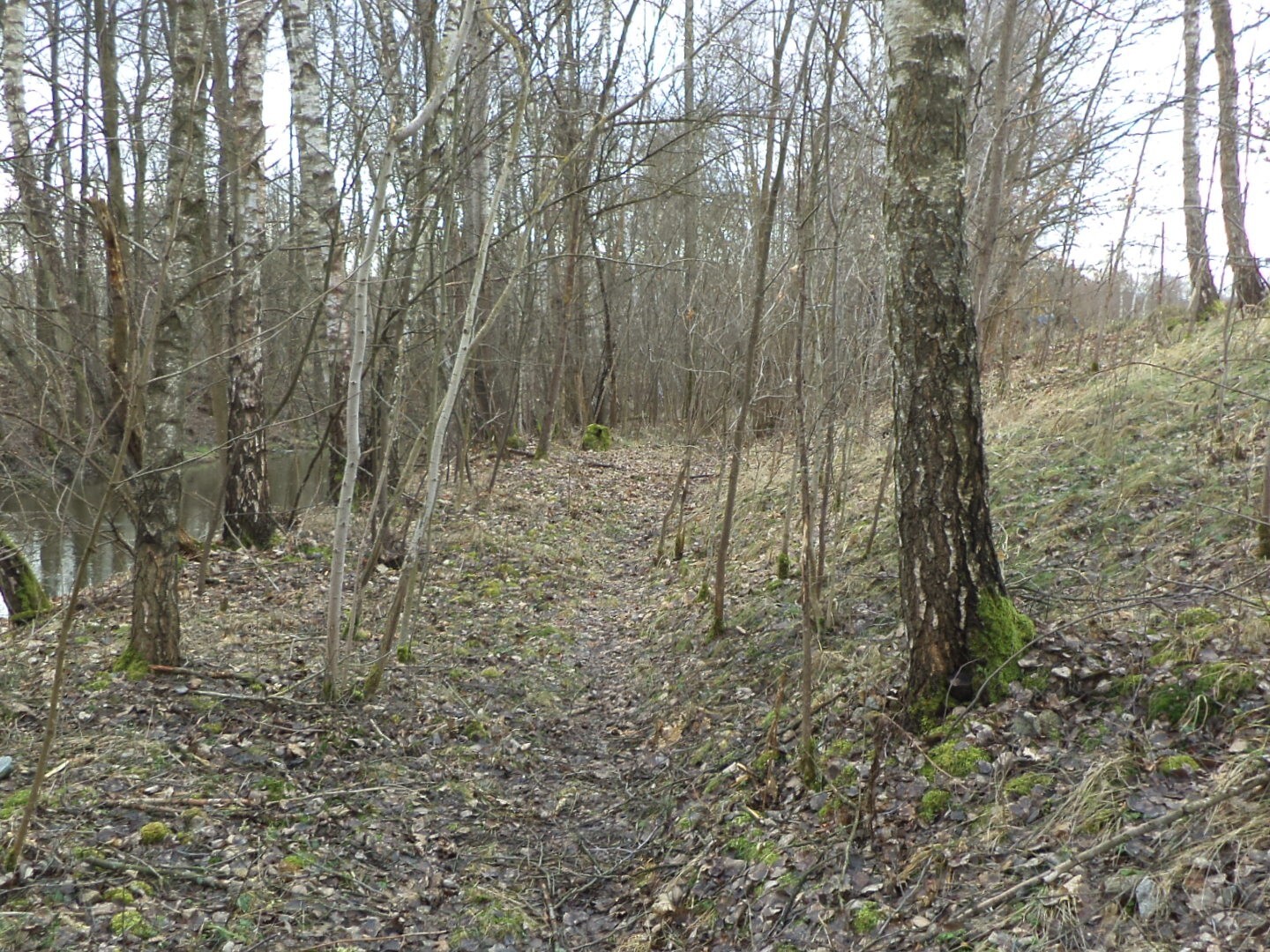 Pozemek o velikosti 1150m2, Jindřichův Hradec