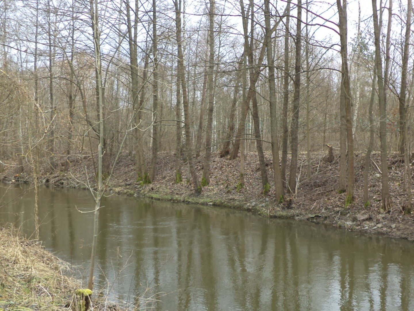 Pozemek o velikosti 1150m2, Jindřichův Hradec